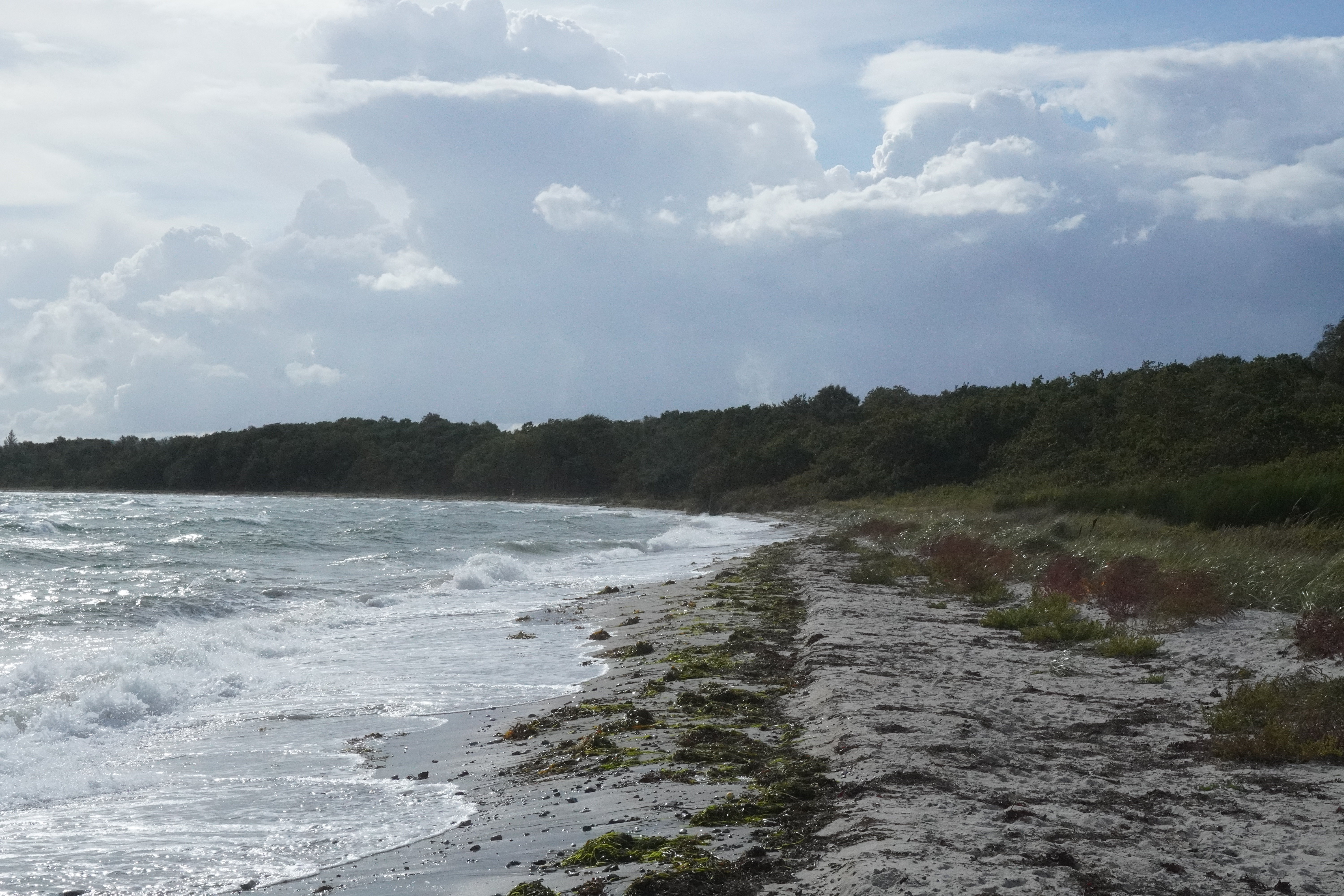Strand ved Ebeltoft tæt på sommerhuset