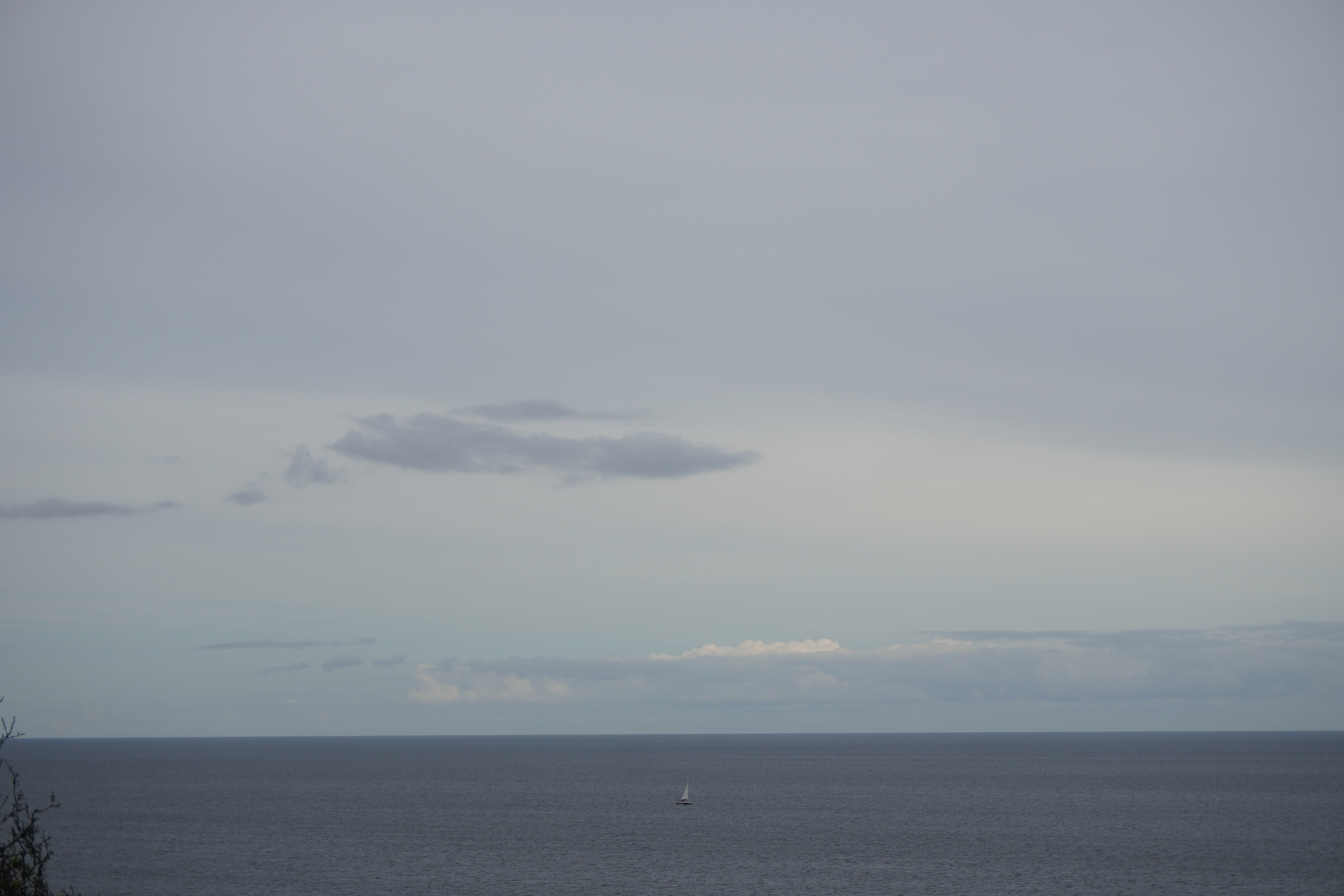 Fredfyldt sti gennem grønne omgivelser