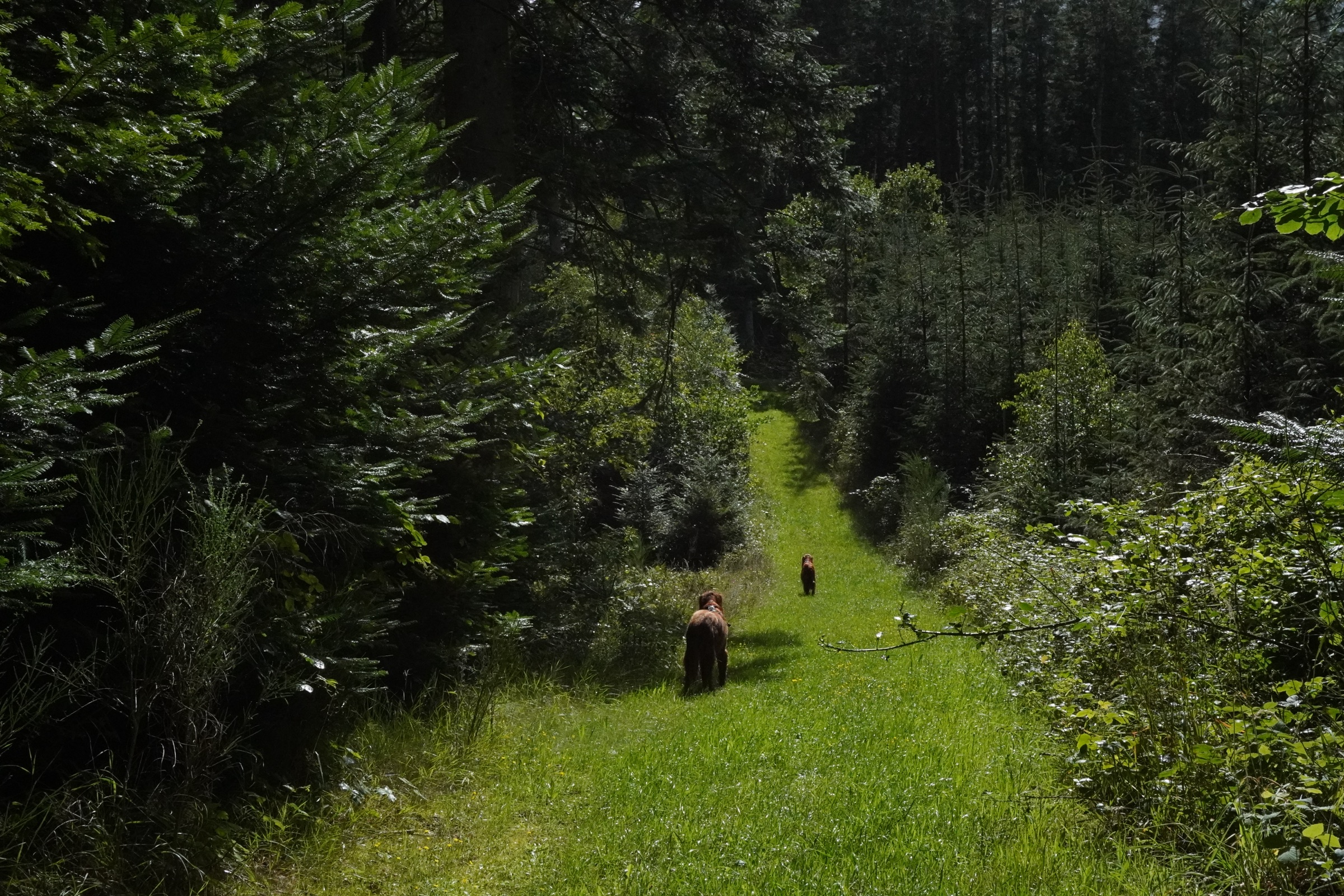 Strålende natur på Djursland