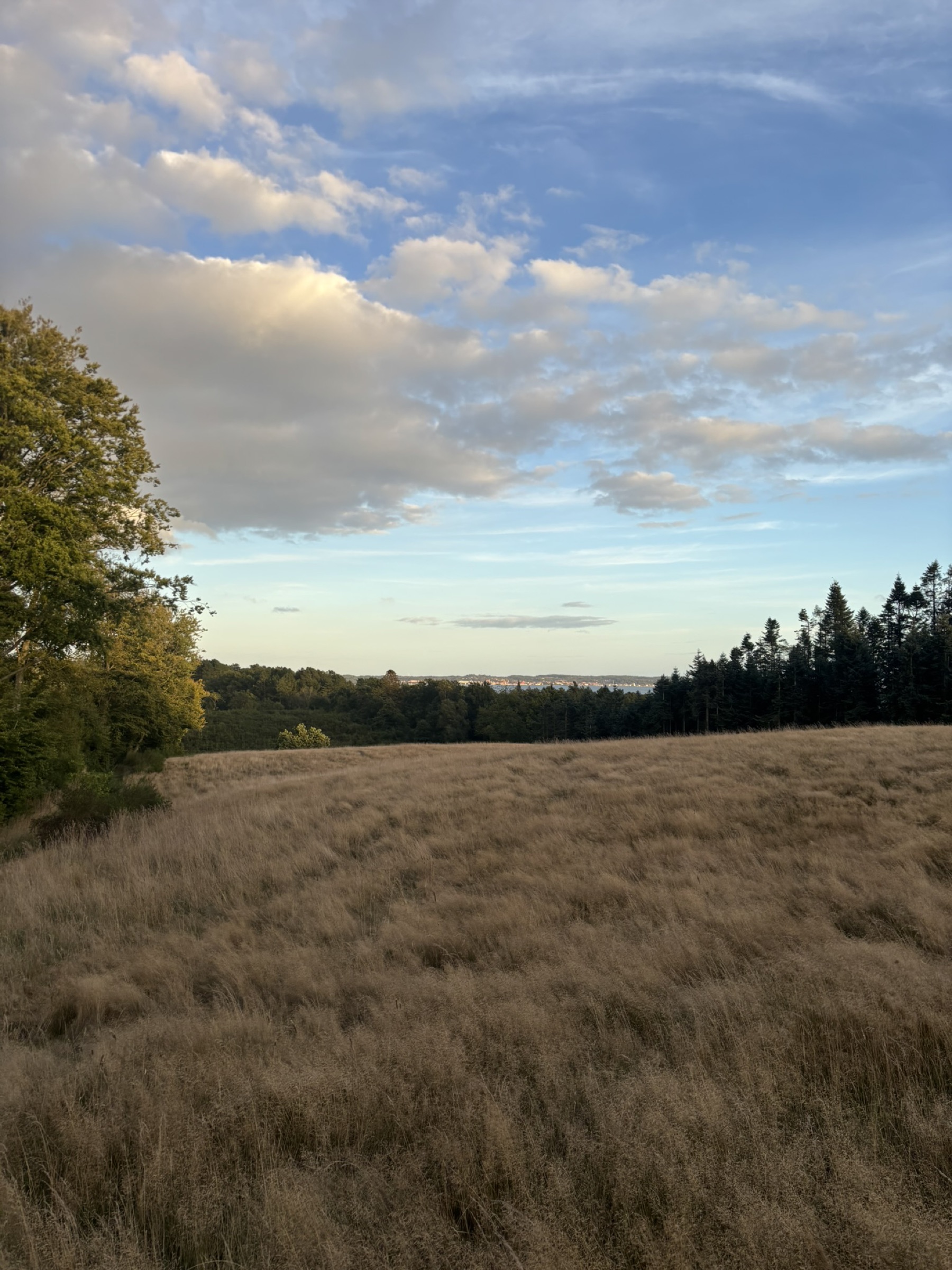 Sommerhusstemning i det grønne område